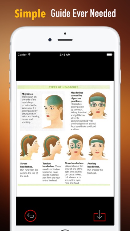 Head Massage for Beginners:Techniques and Tutorial