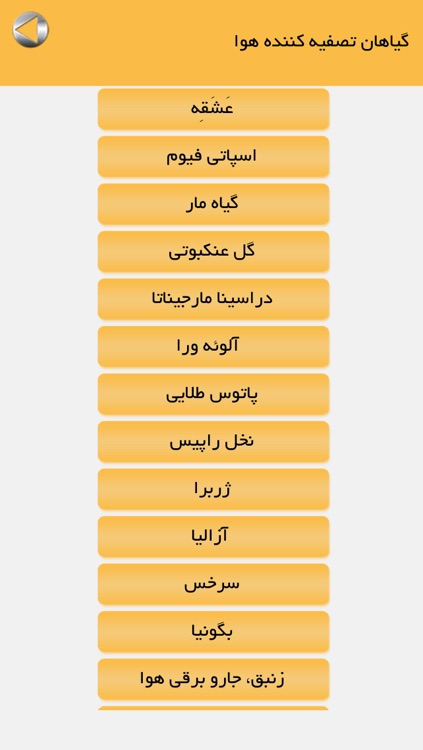 گیاهان آپارتمانی