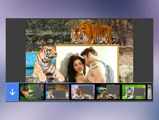 스크린샷 1 Tiger Photo Frame - Great and Fantastic Frames for your photo iphone