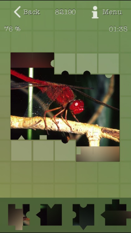 Insects Best Puzzles