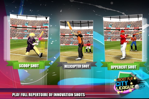 Cricket Play City League screenshot 3