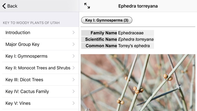 Woody Plants of Utah(圖3)-速報App