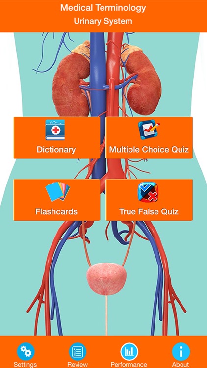 Medical Terminology : Urinary System