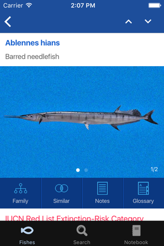 Fishes: East Pacific. An identification guide for the shore-fish fauna of the tropical eastern Pacific. Education