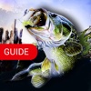 Guide for Ace Fishing: Wild Catch