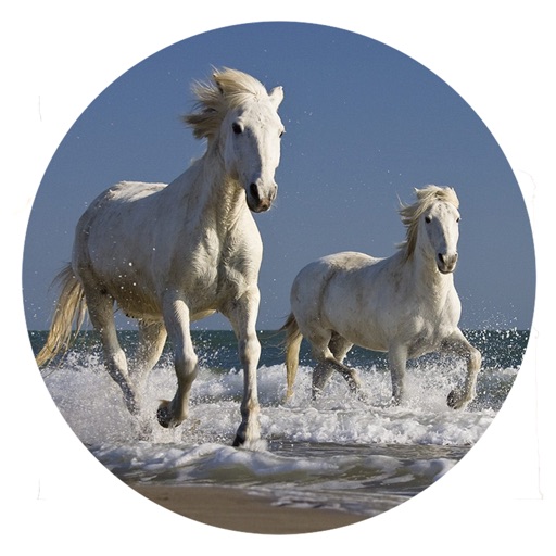 Horses Zone icon