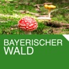 Bayerischer Wald