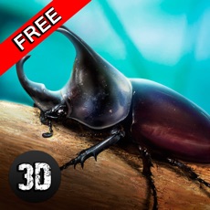 Activities of Bug Life Simulator 3D