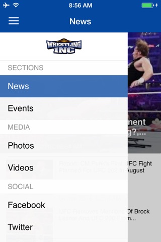Wrestling Inc screenshot 3