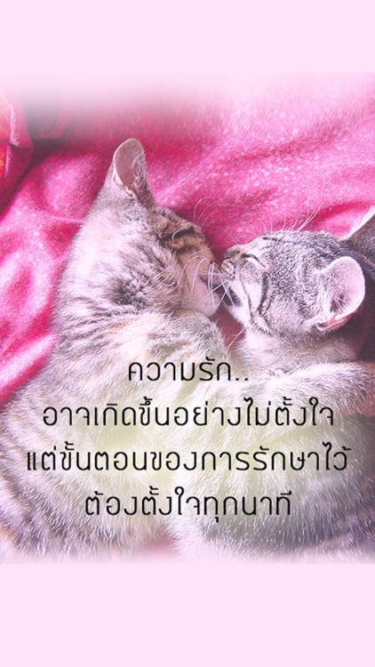 คำคม ความรัก โดนใจ