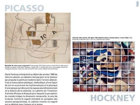 Picasso.mania, l’e-album de l’exposition du Grand Palais screenshot 2