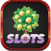 Best Rack Carousel Of Slots Machines - Free Entertainment Slots