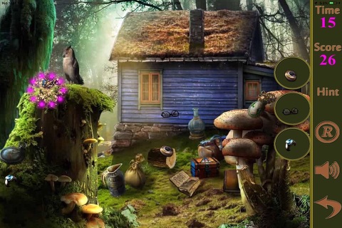 Hidden Objects Of The Wizard Of Hissaria screenshot 2