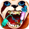 Become An Animal Dentist