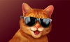 Cat Simulator 3D - My CATastrophic Pet