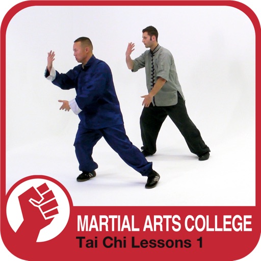 Tai Chi Qi Gong Lessons 1 - M.A.C. Martial Arts College Icon