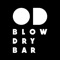 We are OD, Blow Dry and Hair Care company