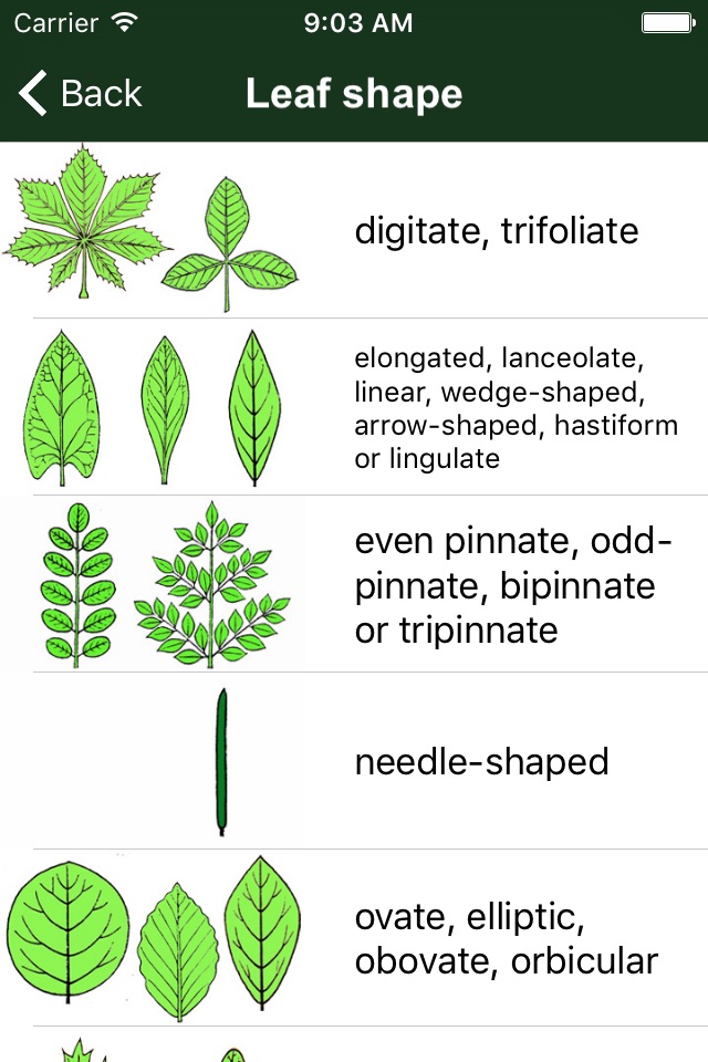 Tree Id USA - identify over 1000 of America's native species of Trees, Shrubs and Bushes screenshot 2