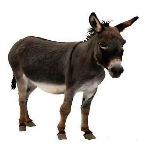 Donkey Sound Effects - Lovable Sounds, Ringtones and More from this Furry Animal iOS App