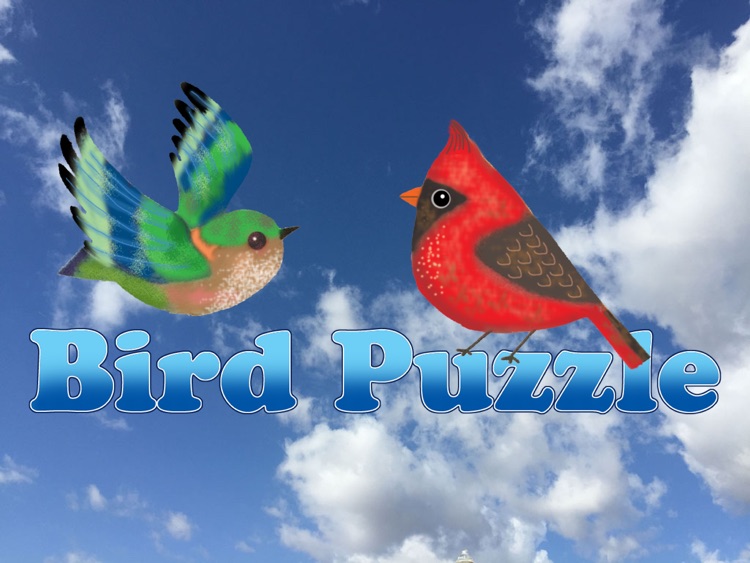 The Bird Puzzle