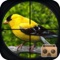 Birds hunting is very interesting task with modern graphics