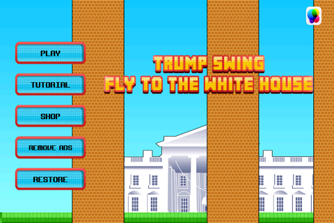 Trump Swing : Fly To The White House screenshot 2