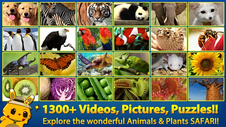 ABC SAFARI Animals & Plants - Video, Picture, Word, Puzzle for Kids