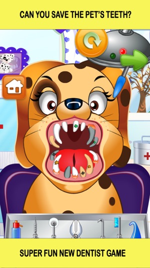 Pet Vet Dentist Doctor - Games for Kids 