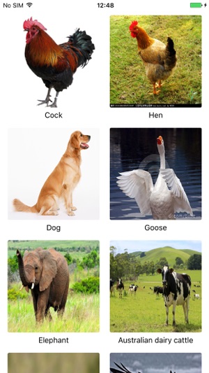 AnimalSounds-See Image and Hear sounds