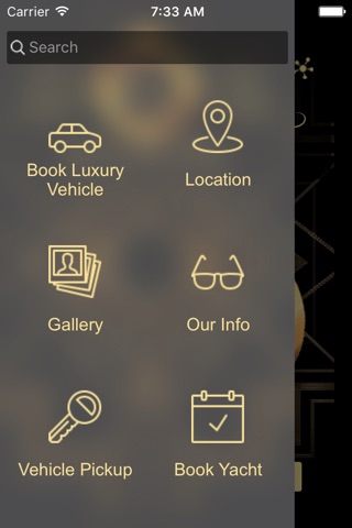 Luxury Group Miami screenshot 2