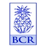 BCR GO