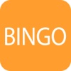 Bingo Themepark Pro - Fun & Free Classic Casino Game