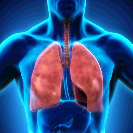 Human Anatomy : Respiratory System iOS App
