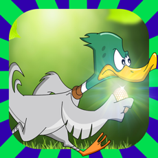 Activities of Angry Duck Run