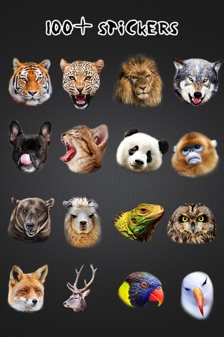 Animal Face Morph - Sticker Photo Editor to Blend Yr Skin with Wild Effects screenshot 4
