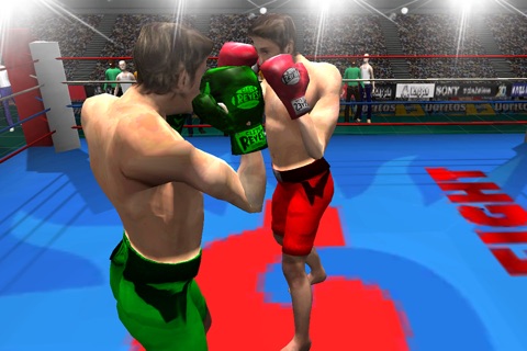 Boxing King Punch 3D screenshot 4