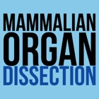 Top 34 Education Apps Like Mammalian Organ Dissection Free - Best Alternatives