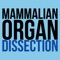 The Mammalian Organ Dissection App contains dissection instructions and anatomical information for four mammalian organs: the kidney, the eye, the brain, and the heart