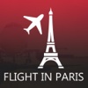 Flight in Paris