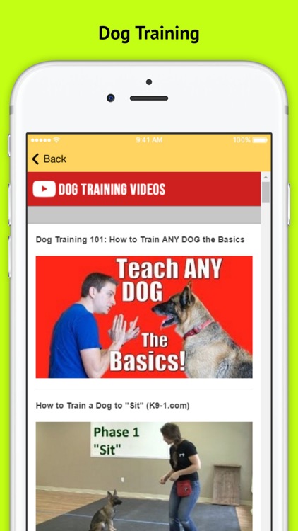 Dog Obedience Training - Basic Commands