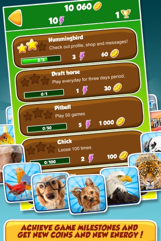 Family Pets screenshot 4