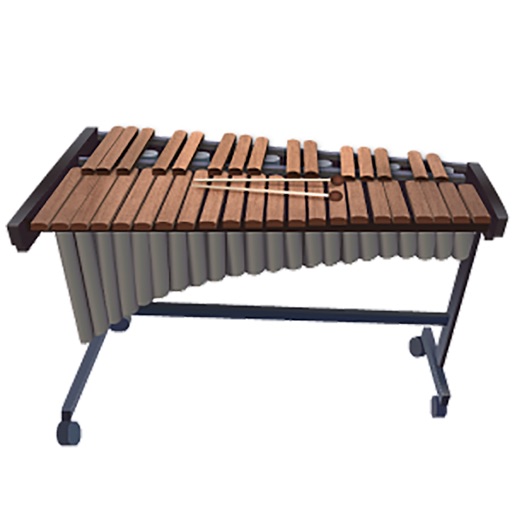 Xylophone Lessons - How To Play Xylophone By Videos