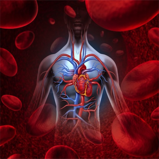 Human Anatomy : Circulatory System