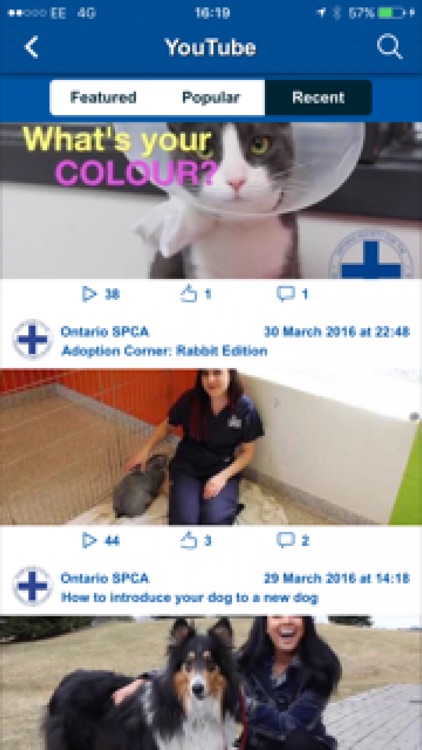 Ontario SPCA screenshot-3