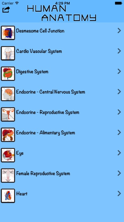 Human Body Atlas - The Handiest Human Anatomy Atlas for Organ Anatomy & Skeleton Anatomy and Muscular Anatomy!