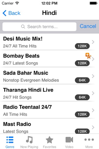 Indian Radio – Desi Stations screenshot 2