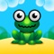Hoppy Monster Toad Village