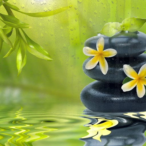 Meditation sounds 1 Download