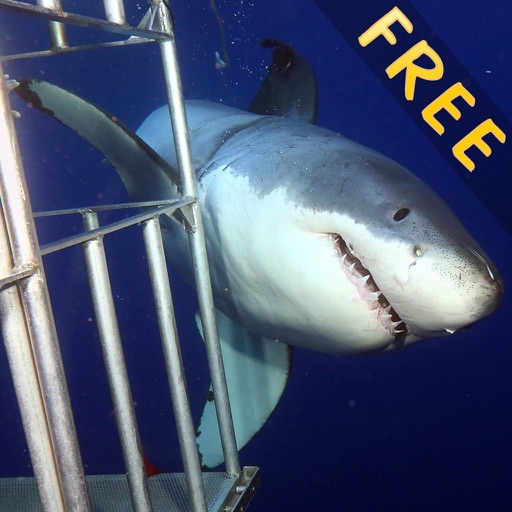 Hungry Shark Underwater Cage Free iOS App