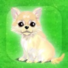 My Dog Life -Chihuahua Edition-